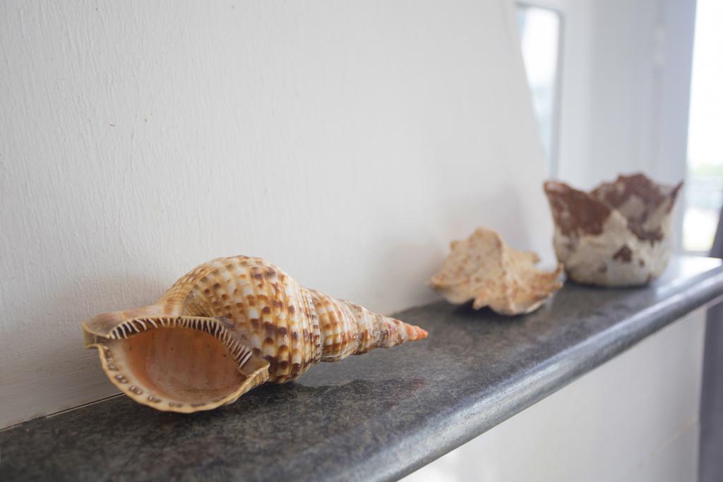 パラリア・ブラフ Chita'S Houseヴィラ エクステリア 写真